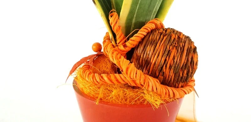 CASA - POADOR TOPFBLUME Kunstblume Topf rund Orange Sanseverie künstlich Geschenk – Bild 9