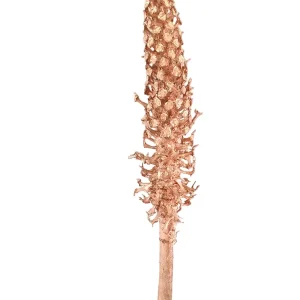 TROCKENBLUMEN PALMBLÜTE  kupferfarben Cacho Dekoration ca. 85 cm Lang