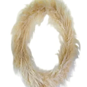 KRANZ LAO GRAS Cortaderia 80 cm D Beige Dried Geschenk Wreaht