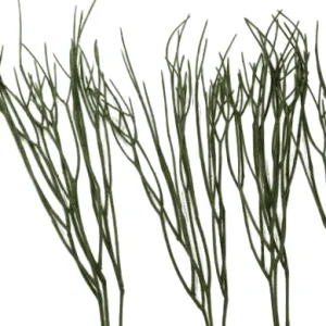 KÜNSTLICHE RANKEN RHIPSALIS 5 Stück grün Blätter länglich 75 cm Lang