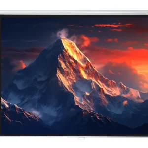 celexon Leinwand Rollo Economy