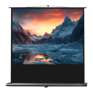 celexon Leinwand Ultramobil Professional