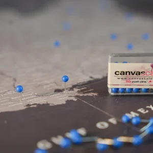 Pinnwand Pushpins in Blau für Ihre Kork-Weltkarte